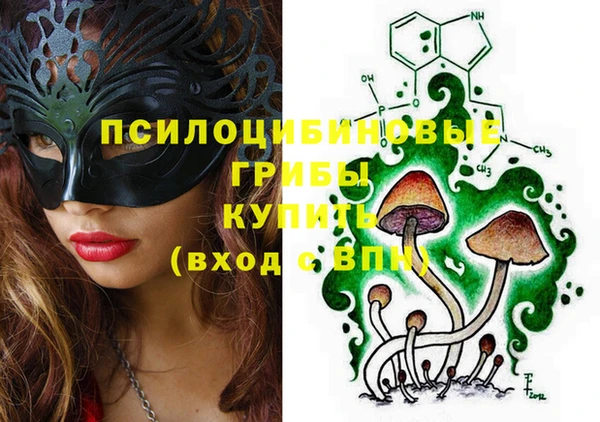 apvp Балахна