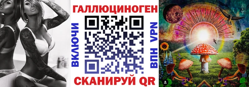 Галлюциногенные грибы Psilocybe Пионерский